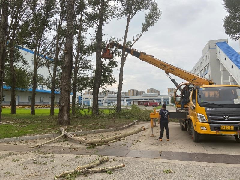 1604027254965073.jpg 03.jpg